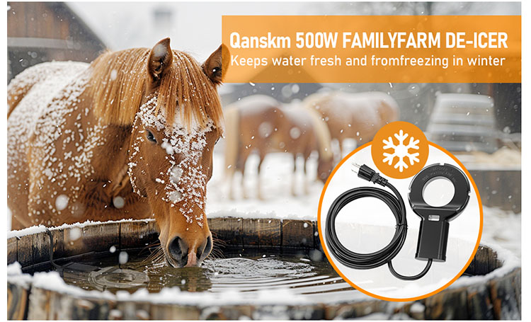 Heated Water Bowls & De-Icers for Winter Animal Care